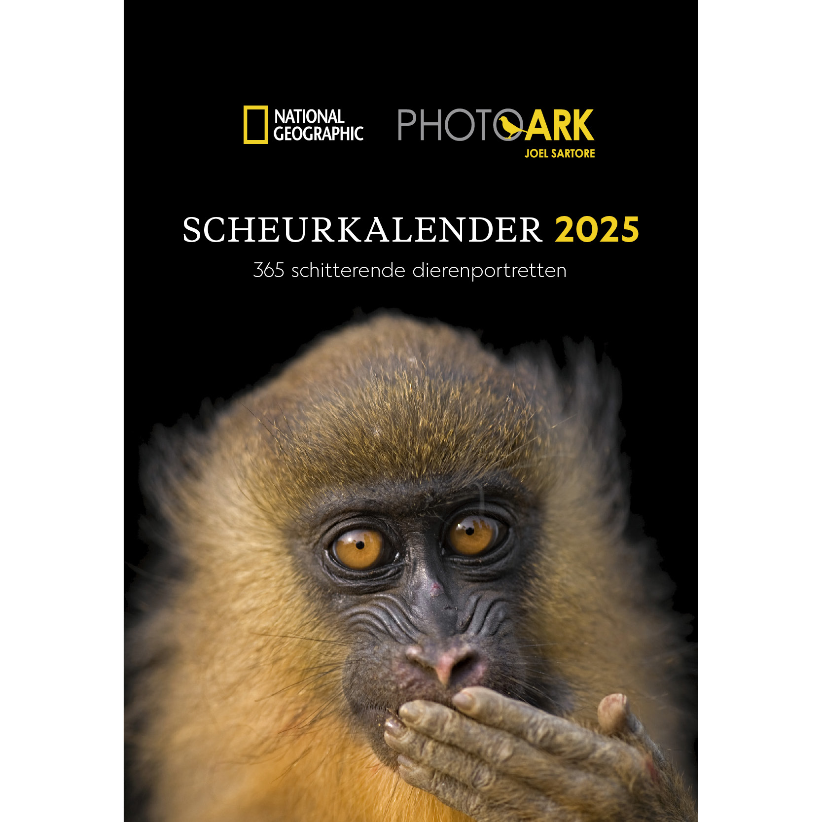 National Geographic Scheurkalender 2025